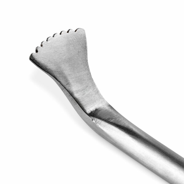 Zyliss Easy Lift & Serve Poultry Lifter