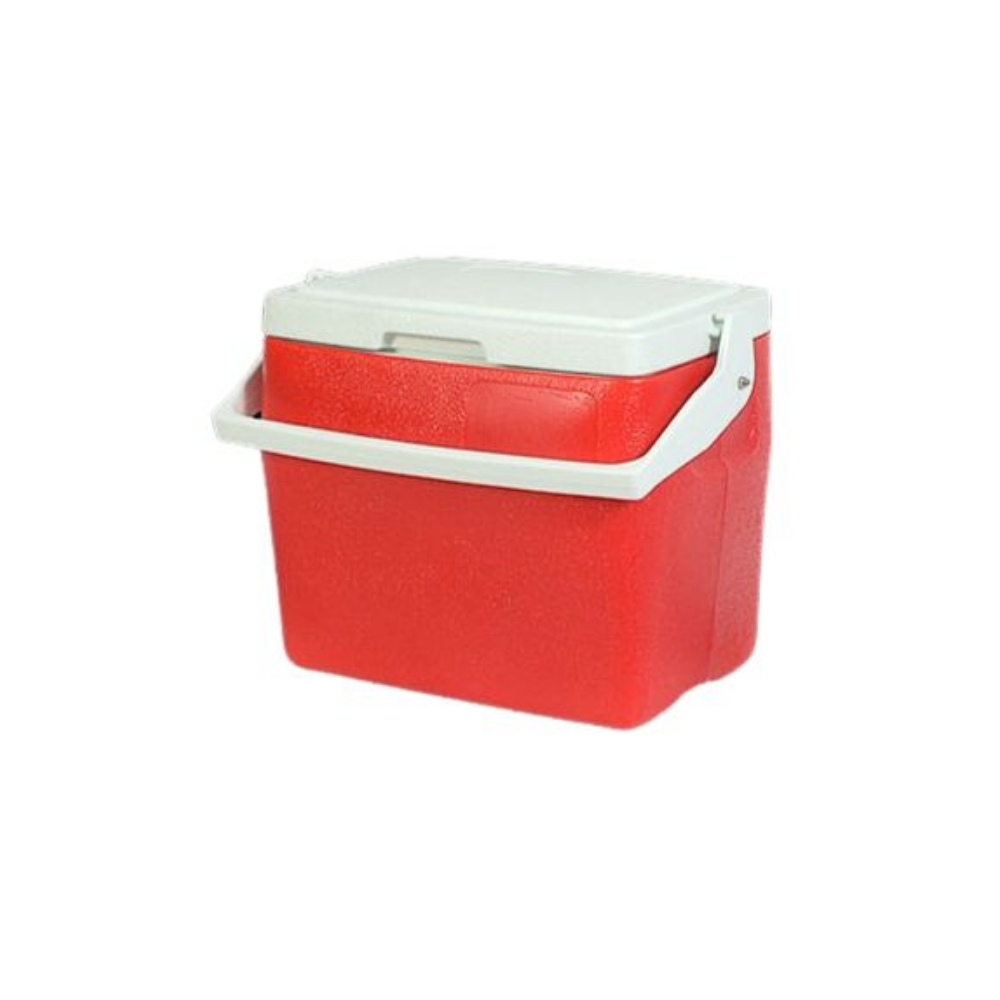 Standard Plastic Insulated Cooler Box L25.5xW18xH20cm, 4L/4.2Qt Standard Plastic Insulated Cooler Box L25.5xW18xH20cm, 4L/4.2Qt - Image 3