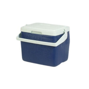 Standard Plastic Insulated Cooler Box L29.5xW22xH25cm, 7L/7.4Qt