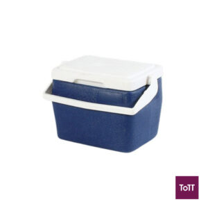 Standard Plastic Insulated Cooler Box L25.5xW18xH20cm, 4L/4.2Qt Standard Plastic Insulated Cooler Box L25.5xW18xH20cm, 4L/4.2Qt