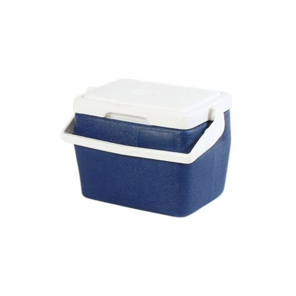 Standard Plastic Insulated Cooler Box L25.5xW18xH20cm, 4L/4.2Qt Standard Plastic Insulated Cooler Box L25.5xW18xH20cm, 4L/4.2Qt - Image 2